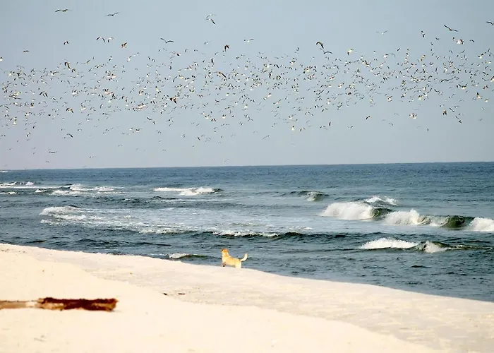 Gilde-residenz App. 7 Lägenhet *